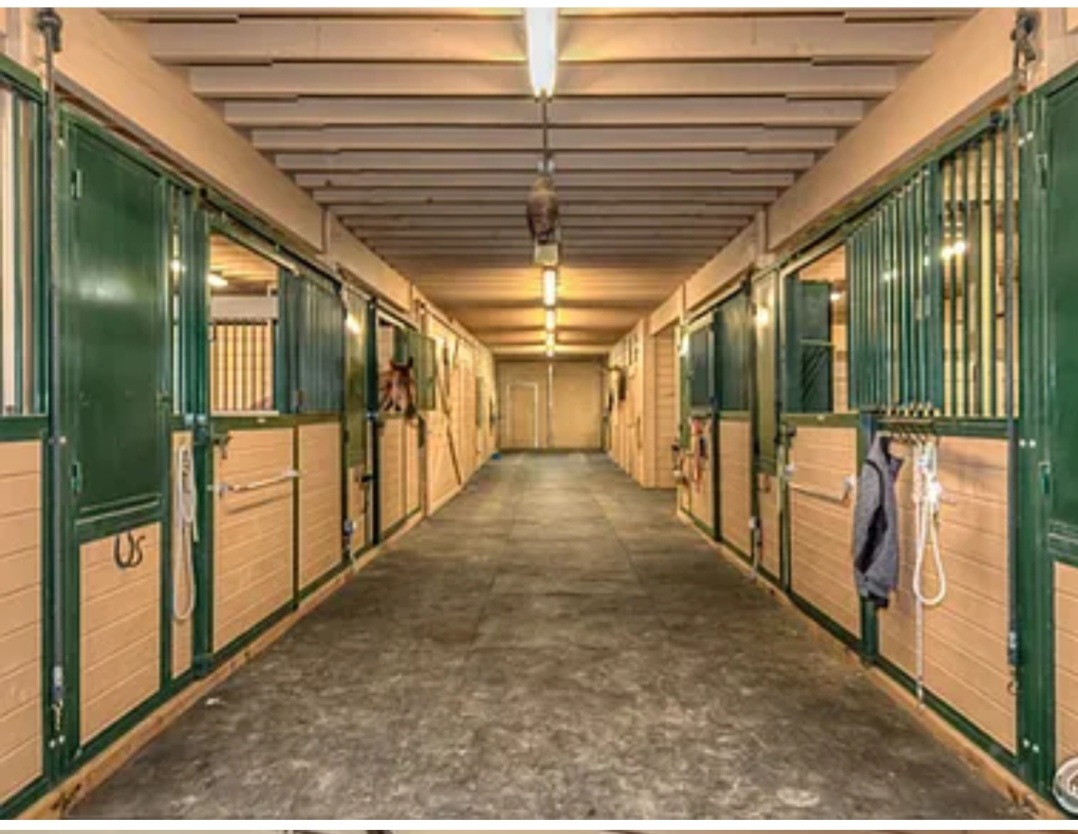 Professional barn interior with spacious green stalls at Lone Tree Acres