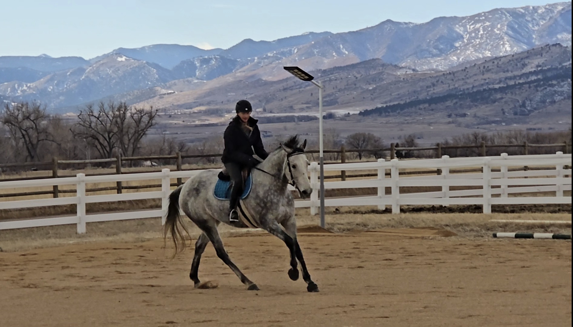 RJ Equine training